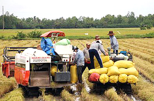 Hai Duong with the promotion of agricultural restructuring