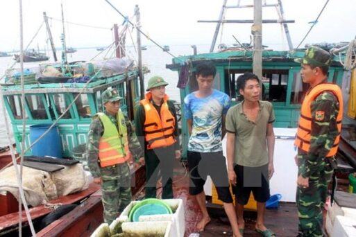 Quảng Ninh đưa đường dây nóng bảo vệ nguồn lợi thủy sản vào hoạt động