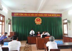 Vụ QSDĐ của gia đình Mẹ VNAH Trương Thị Thị: Phán quyết thấu tình, đạt lý của TAND tỉnh Quảng Ngãi
