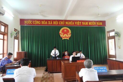 Vụ QSDĐ của gia đình Mẹ VNAH Trương Thị Thị: Phán quyết thấu tình, đạt lý của TAND tỉnh Quảng Ngãi