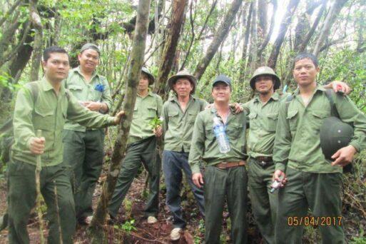 Công ty TNHH MTV Lâm nghiệp Krông Bông – Bền bỉ sứ mệnh trồng, chăm sóc và bảo vệ rừng