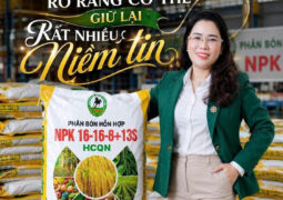 Nữ Doanh nhân Lê Anh Thơ: Giữ lửa văn hóa doanh nghiệp bằng sự tử tế và niềm tin