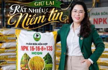 Nữ Doanh nhân Lê Anh Thơ: Giữ lửa văn hóa doanh nghiệp bằng sự tử tế và niềm tin