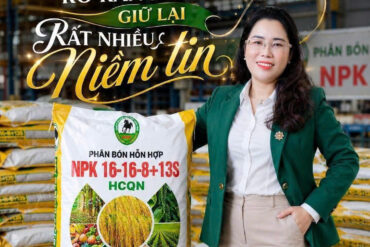 Nữ Doanh nhân Lê Anh Thơ: Giữ lửa văn hóa doanh nghiệp bằng sự tử tế và niềm tin